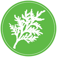 Green Racing Project (@craftsburygreen) 's Twitter Profile