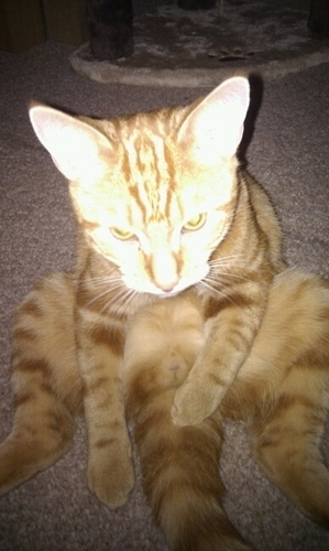 mydirtylaundry_'s profile picture. Is about having mental health issues, insomnia when I do sleep sleep paralysis. Some of my rambling may be funny or dull Either way what will be will be