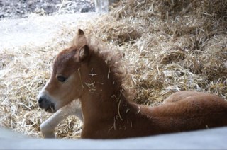 bluestarz376's profile picture. 