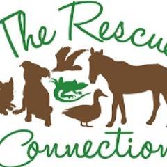 TheRescueConnection