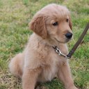 Curtis Lipscomb - @clipsc4 - Twitter