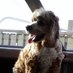 Profile Picture of Frances Stroud (@warrick1950) on Twitter