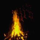 Albert Evans - @evansa238 - Twitter