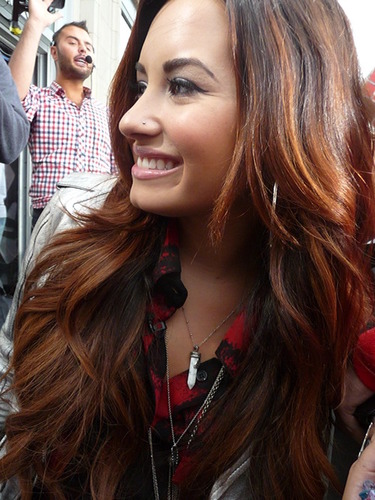 Amo a Demi e fim