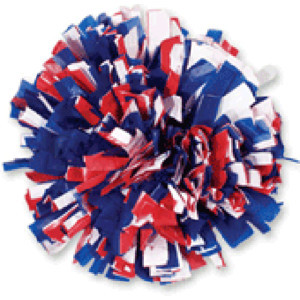 TDHS Art Boosters Profile