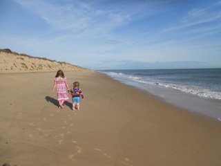 Warrior Mum to 2 beautiful, funny, intelligent autistic kids.