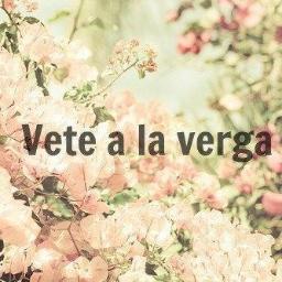 This year is going to be the best of all:3