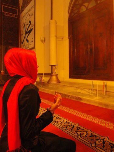 AysenurEhmedova's profile picture. 