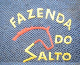 A Fazenda do Salto se dedica ao criatório de Cavalos Mangalarga Marchador. Nossa seleção se baseia nos sangues sul-mineiros, das linahgens genuinas da marcha !!