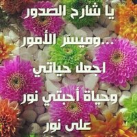 أبو محمد (@abdullahalwahyd) Twitter profile photo