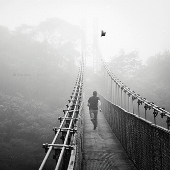 saeed66725775's profile picture. 