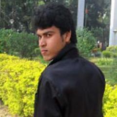 I am senior PHP & Wordpress developer