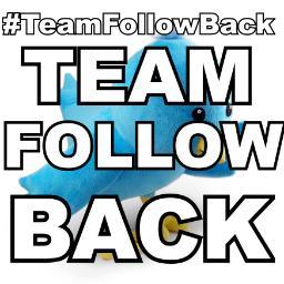 Team Follow Back $$$