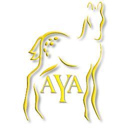 AppaloosaYouth's profile picture. The AYA provides recognition for youth who own and show Appaloosas while promoting citizenship, sportsmanship, showmanship & leadership.