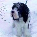 Dave Benjamin - @daveb_nyl - Twitter