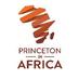 Princeton in Africa (@PiAfinAction) Twitter profile photo