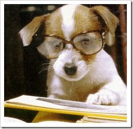 ninecg's profile picture. 