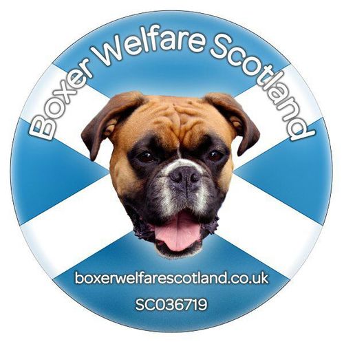 We are a registered charity (Reg. Charity No. SCO36719) rescuing and rehoming boxers across Scotland.