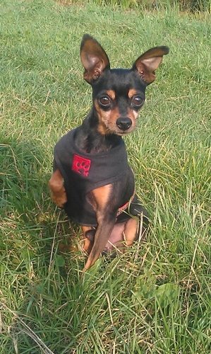 snuit13's profile picture. 