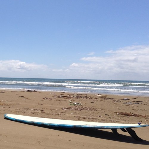 Niipado's profile picture. ゆるーいロングボーダー。大好物は小波、さざ波。