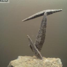 SiDwAyZzZ's profile picture. 