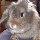 James Salt - @jim_salt - Twitter