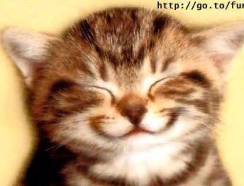 mazabya41099's profile picture. Ayudando a Sacar sonrisas, mas o menos como esta :)o como esta :D.Además, olvidate de los problemas y alegra esa cara, por eso te pedimos que nos sigas ;)