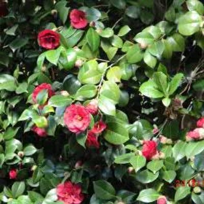 かな (@kanakana629) / Posts / X