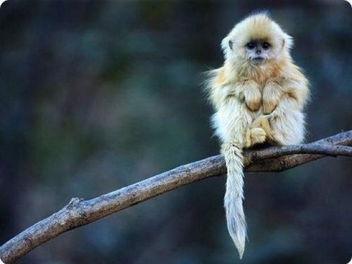 Monapoupin's profile picture. 