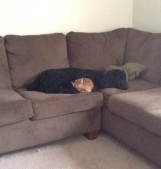 tbishop930's profile picture. 