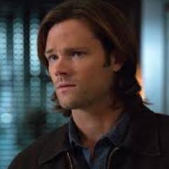 SamWinGL's profile picture. The younger, but more mature brother. I'm a monster hunter who kicks ass. 30.