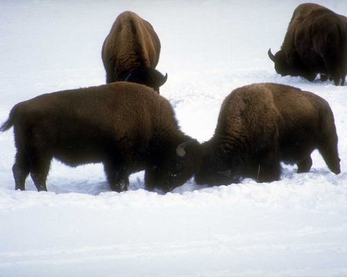 DonaldPy1's profile picture. The truly great person Joshua Duboseis the person who makes every person feels great.