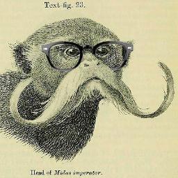 Berchem's profile picture. Convivial artist