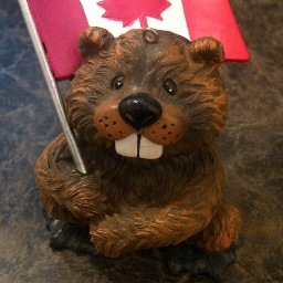 Amisk the Geocaching Beaver. Proud representative of the Tourism Dauphin Geocaching Committee. Addicted to finding tupperware in the bush.