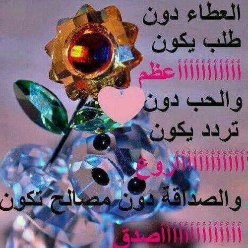 اااالشمري
