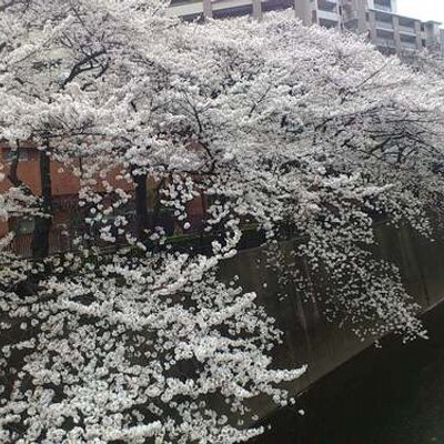 じーや