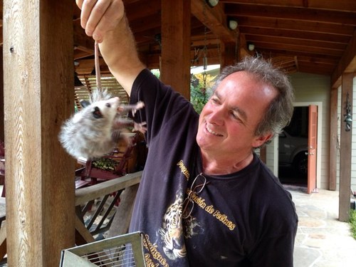 brucethepotter's profile picture. 