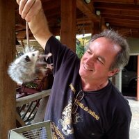 Bruce Odell (@brucethepotter) 's Twitter Profile