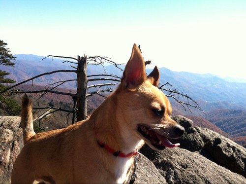 jacobswrite's profile picture. Taking 40 years of newspaper experience, mainly covering emergency services, to help PIOs as a consultant understand what the media needs.