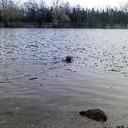 Tamara MacDonald - @TJRyan4 - Twitter