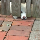 Robert Streight - @RobertStreight - Twitter