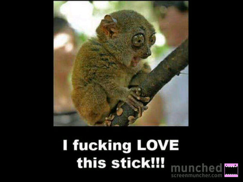 bumbleflutz's profile picture. Love to golf. Madly.