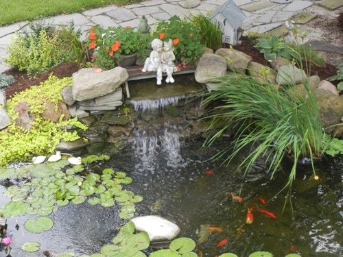 capediana's profile picture. 