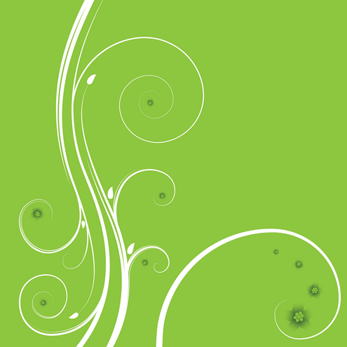 little_illusion's profile picture. 