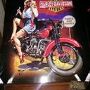 tim hurst - @lowtechillbilly - Twitter