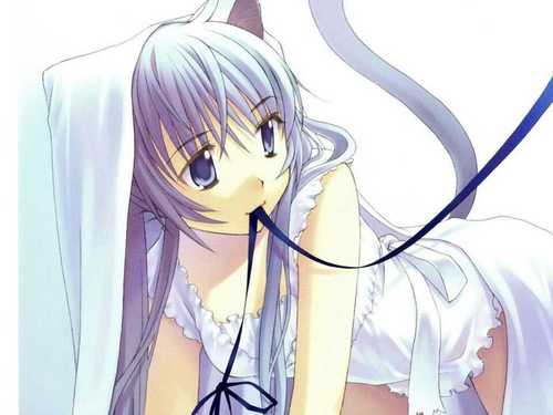 im a horny neko looking for a master who will give me pleasure #bi #no master