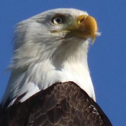 Conservation Photographer