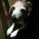 Mark Morse - @Mark_Tweats - Twitter