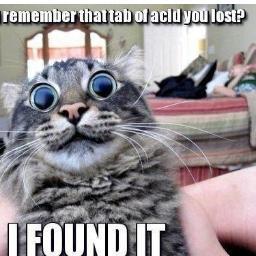 DemonicOnPc's profile picture. #Videogames #Streaming #Youtube #Arma3 #Yolo