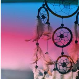 gordinhastbmviv's profile picture. 